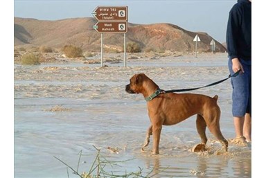 חאן אבירן - טיולים באיזור