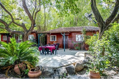 ברק בקתות נופש - החצר