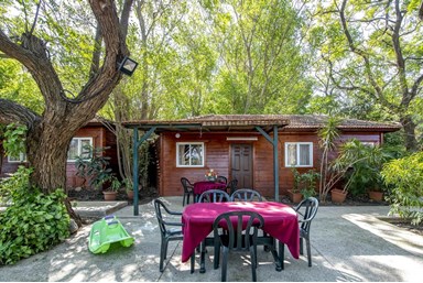 ברק בקתות נופש - החצר