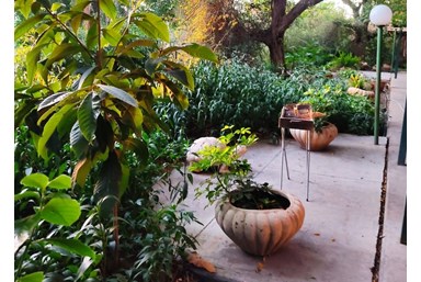 ברק בקתות נופש