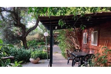 ברק בקתות נופש - החצר