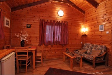 בצל הפקאן - תמר