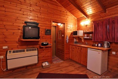 בצל הפקאן - תמר