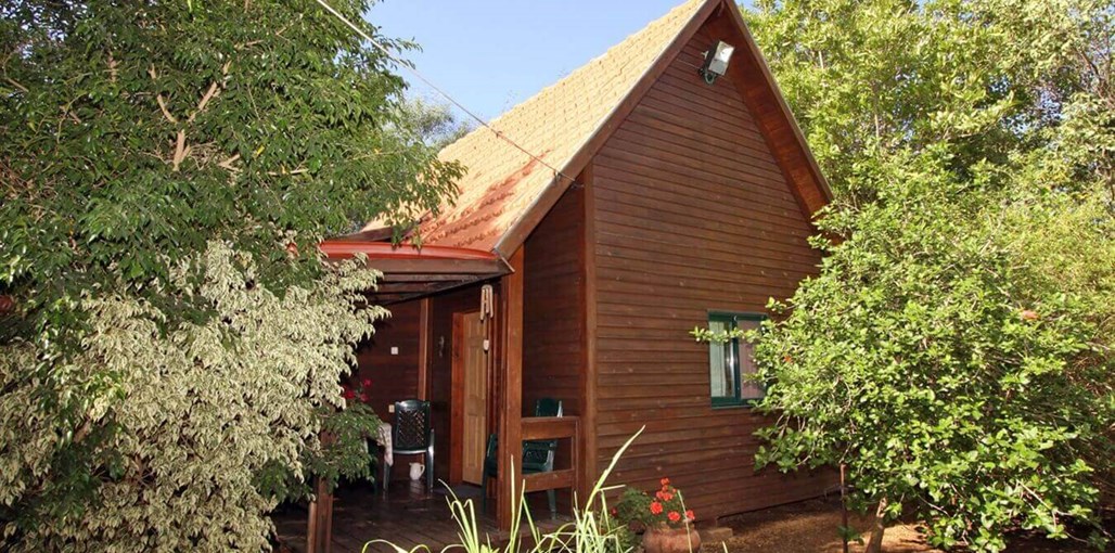 בצל הפקאן החצר (1).JPG