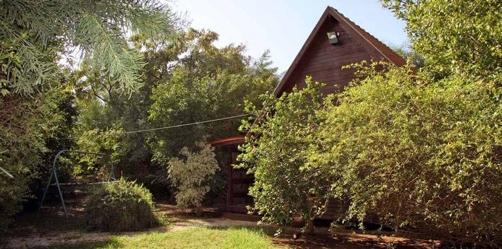 בצל הפקאן החצר (2).JPG