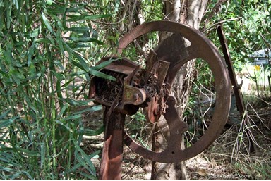 בצל הפקאן - מרכז טיפולים