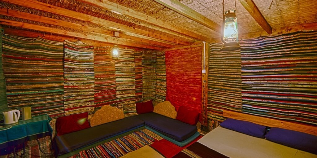 דרך התנ"ך אל הטבע אורנים .jpg