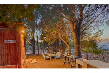 דרך התנ"ך אל הטבע - סוכת האורנים