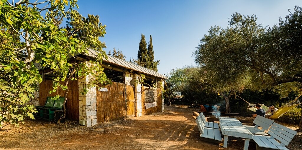 דרך התנ"ך אל הטבע הגפן מבחוץ.jpg