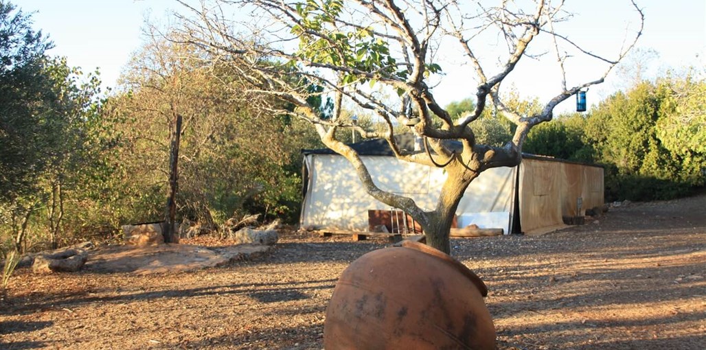 דרך התנ"ך אל הטבע אוהל אברהם (4).JPG