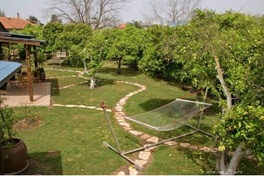 אשכולית בקתות עץ בפרדס