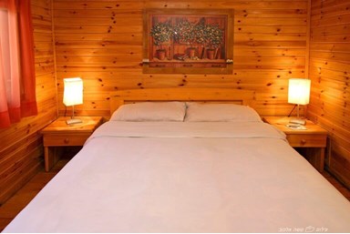 אשכולית בקתות עץ בפרדס