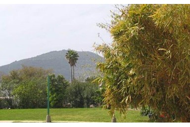 אל התבור-בגן קסום - טיפולי ספא