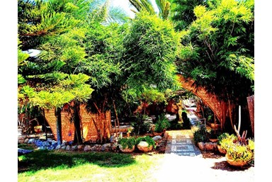 אל התבור-בגן קסום - החצר והבריכה