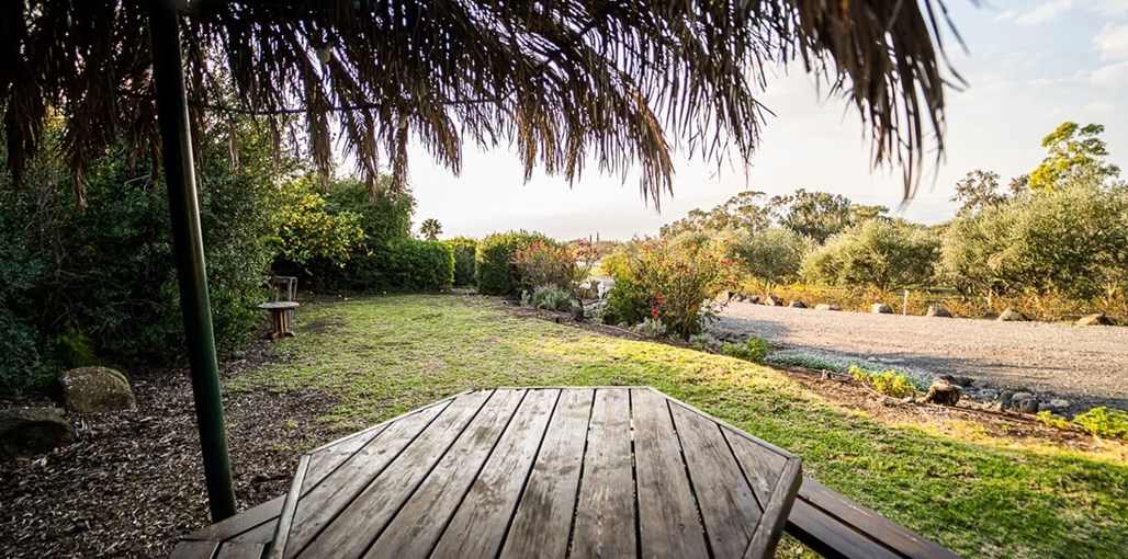 דבש בגולן החצר (2).jpg