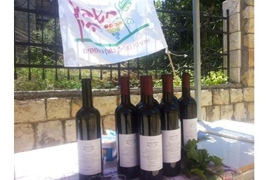 החאן של גץ - הכרם והיין