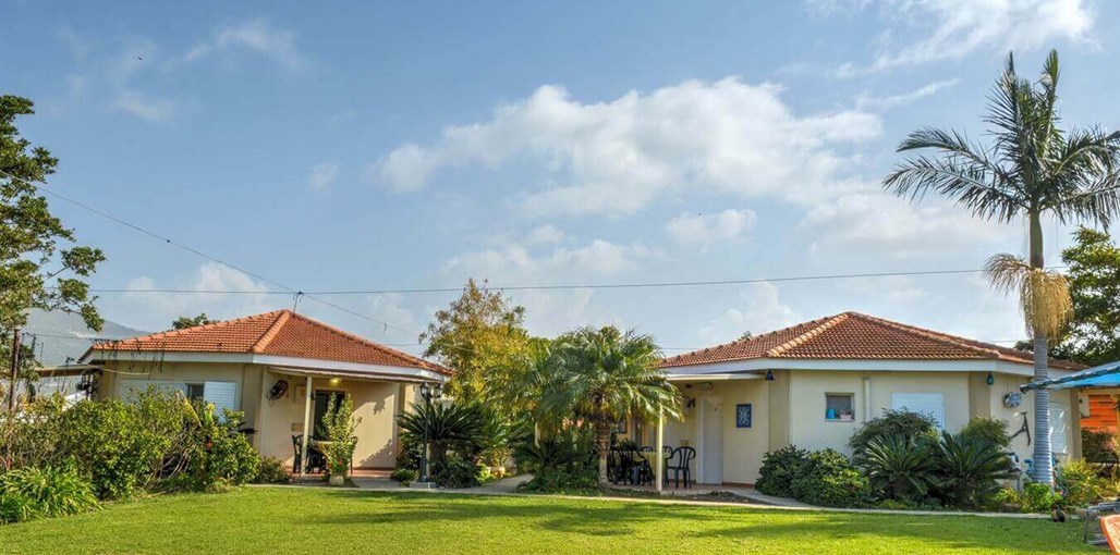 שביל החלב חצר (9).JPG