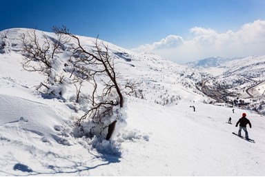מלון הציידים - החצר הנוף והסביבה