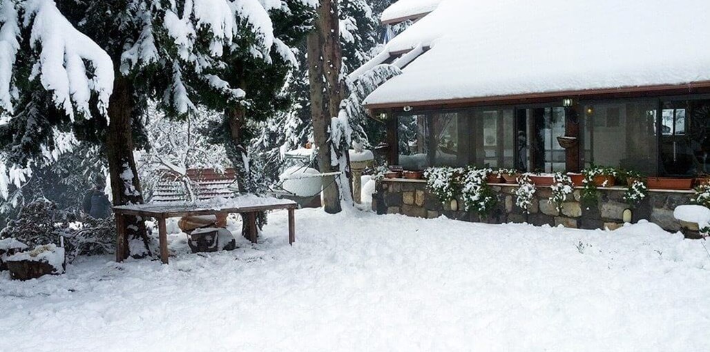 מלון הציידים נוף, סביבה וחצר (12).jpg