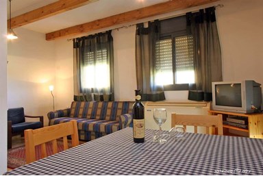 בוסתן ציפורי - גפן