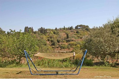 בוסתן ציפורי - חצר ונוף