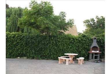 ניחוח פרי  - החצר