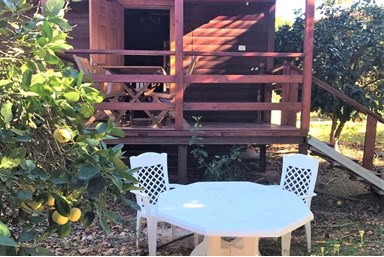 בקתות דרך האושר המקורי - החצר, הג'קוזי והבריכה 