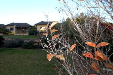 נוף חרמון - אירוח כפרי איכותי - החצר והנוף