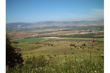 נוף חרמון - אירוח כפרי איכותי - החצר והנוף