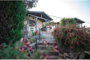 בקתות עץ אלון - חצר, בריכה וסביבה