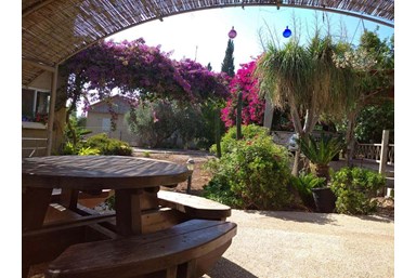 ארבלית בכפר - החצר