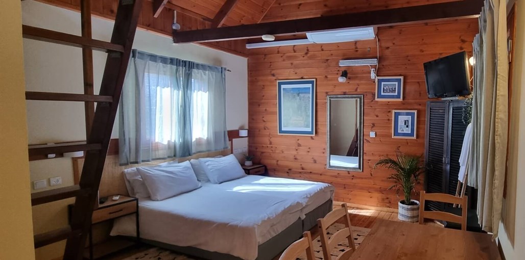 ויטראז' ההר מרץ 23 (3).jpg