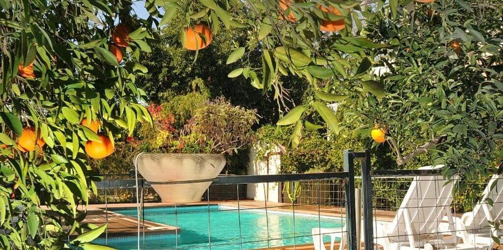 איתן בקתות עץ - Eitan Wood Cabins Resort בריכה (2).jpg