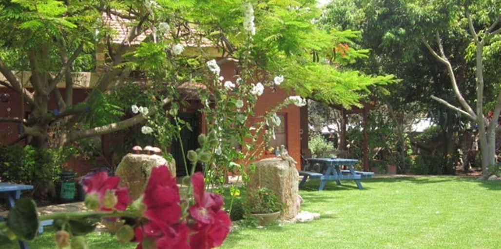 פנינה בבצת חצר (2).JPG