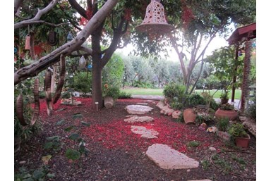 פנינה בבצת - חצר הצימר