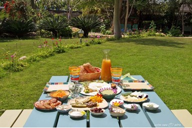 פנינה בבצת - ארוחת הבוקר