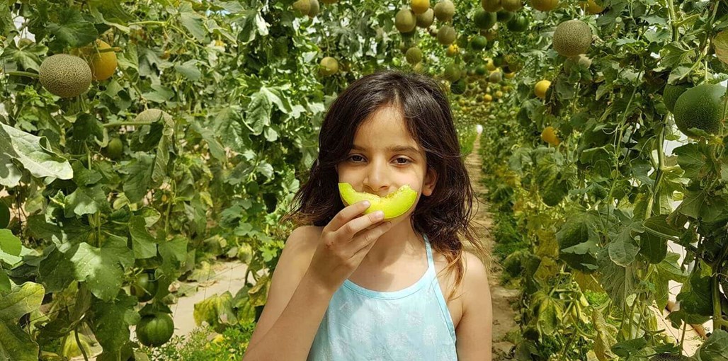 בית קטן בערבה חדשות (1).jpg