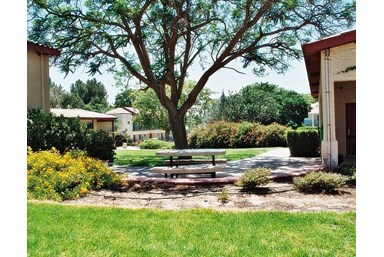 כפר הנופש משאבים - החדרים