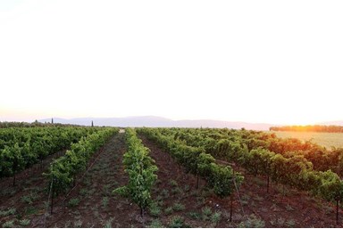 בר בכפר - הזוגיות 