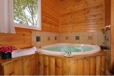 הבית של יעל - בתי העץ המשפחתיים