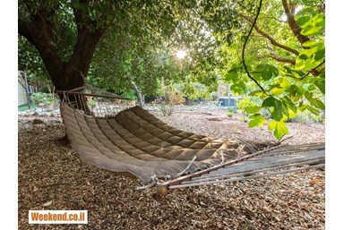 אירוח רוקנשטין  - החצר והסאונה