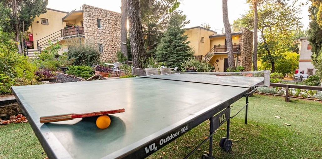 אירוח רוקנשטין אירוח רוקנשטין - החצר (13).jpg