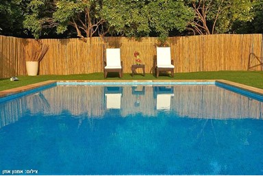 ביקתפוז וקלמנטינה