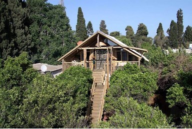 ביקתפוז וקלמנטינה