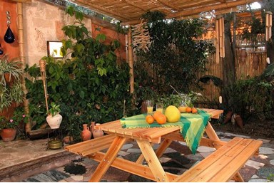 ביקתפוז וקלמנטינה