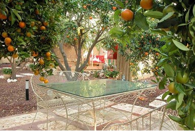 ביקתפוז וקלמנטינה