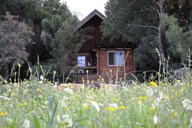 בקתות עץ בקצה הכפר - הבקתות