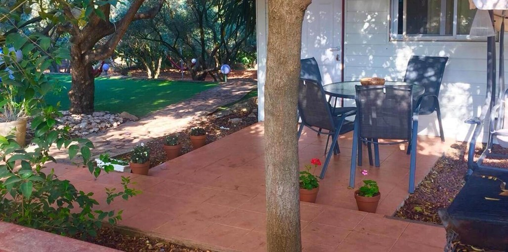 לבנדר וזית חצר (5).jpeg