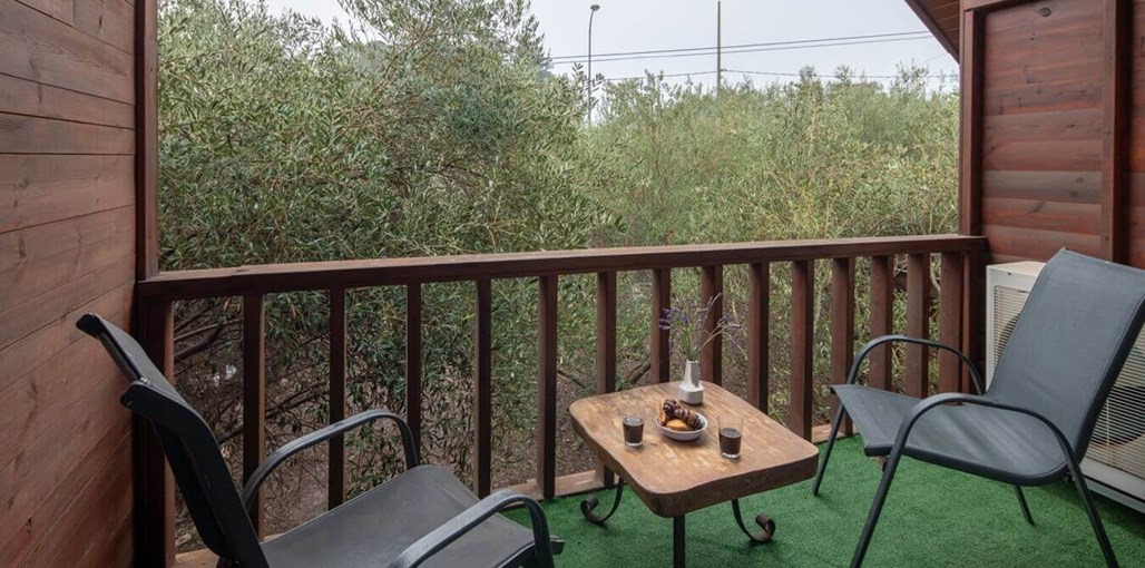 לבנדר וזית זוגי (2).jpg