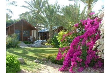 חולות מדבר - משפחת קניון - החצר והנוף